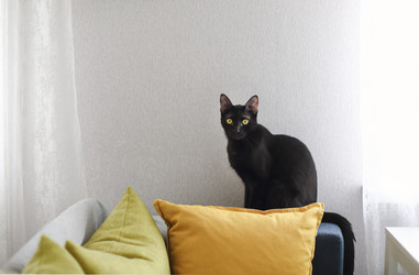 Similar image 20976309