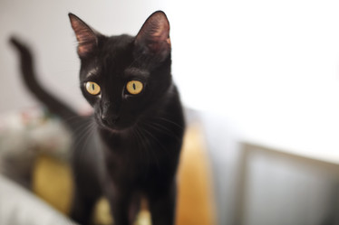 Similar image 20976504