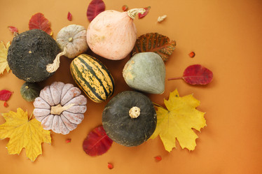 Similar image 20974190