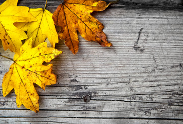 Similar image 20976321