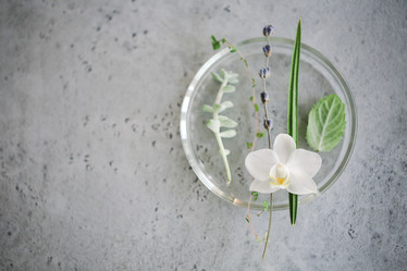 Similar image 20974383