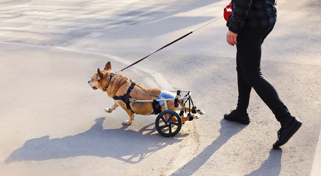 Similar image 20976520