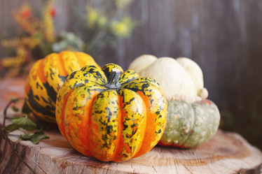 Similar image 20976573