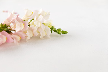 Similar image 20984881