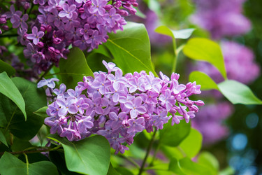 Similar image 20984888