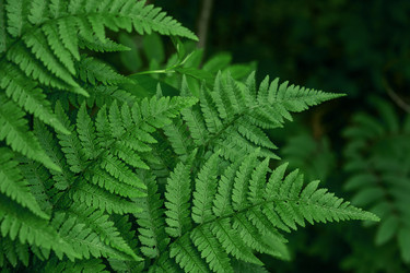 Similar image 20984890