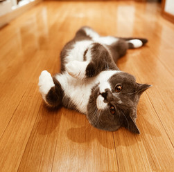 Similar image 20973601