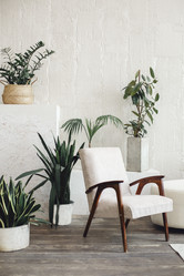 Similar image 20974211