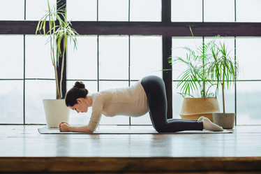 Similar image 20976249