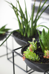 Similar image 20973658