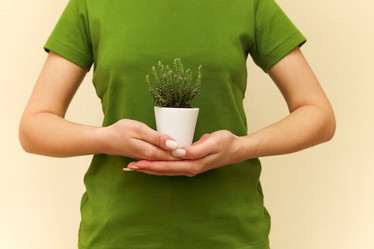 Similar image 20973669