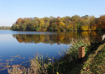 Similar image 20983072