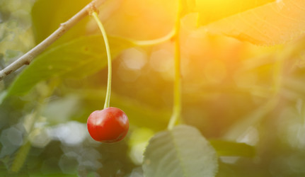 Similar image 20980153