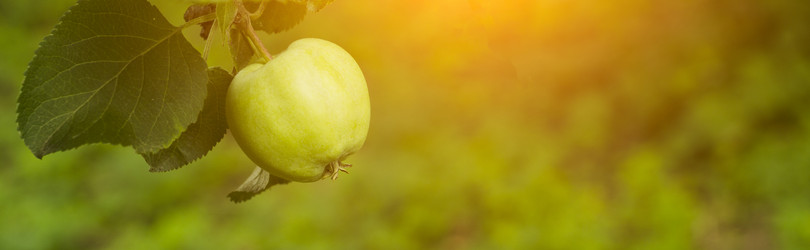 Similar image 20980155