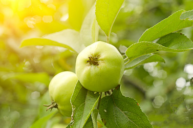 Similar image 20980156