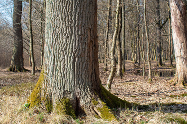 Similar image 20983079