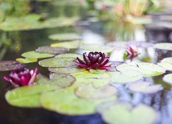 Similar image 20974219