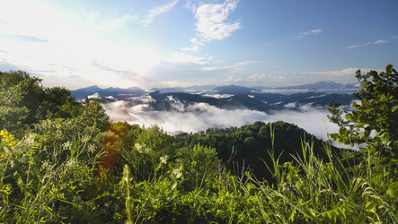 Similar image 20974402