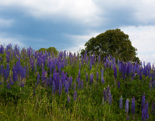 Similar image 20983087