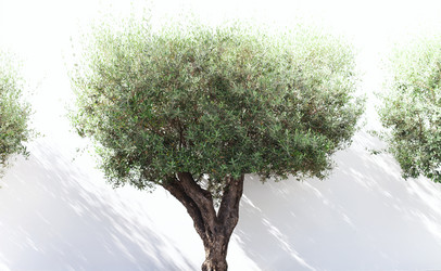 Similar image 20973326