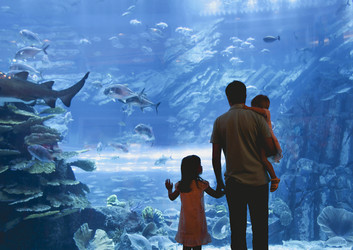 Similar image 20973532