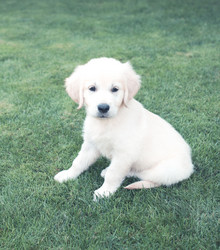 Similar image 20975871