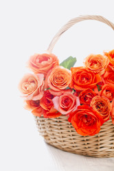 Similar image 20973299