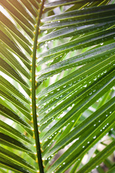 Similar image 20973327