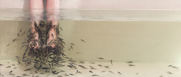 Similar image 20973442