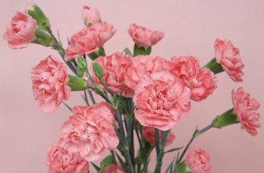 Similar image 20976664