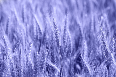 Similar image 20974058