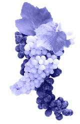 Similar image 20976605