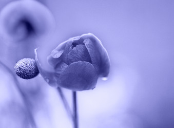 Similar image 20973281