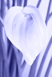 Similar image 20973282