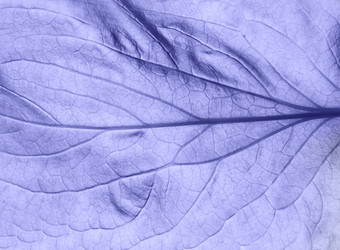 Similar image 20973339