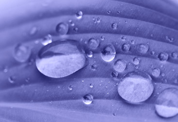 Similar image 20973362