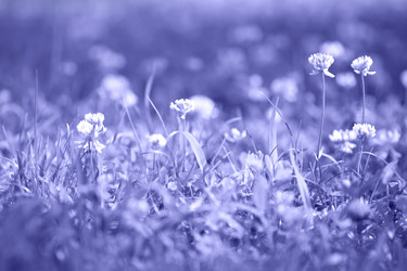 Similar image 20973363