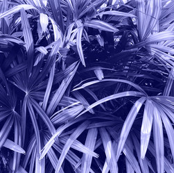 Similar image 20973472