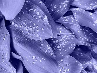 Similar image 20973473