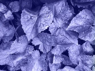 Similar image 20973474