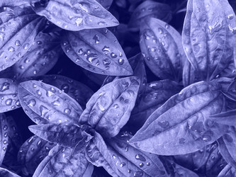 Similar image 20973475