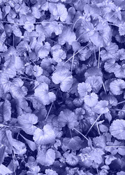 Similar image 20973476