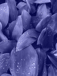 Similar image 20973477