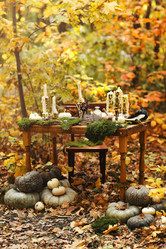 Similar image 20976468