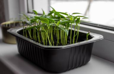 Similar image 20981242