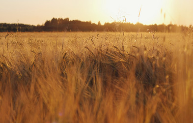 Similar image 20979615