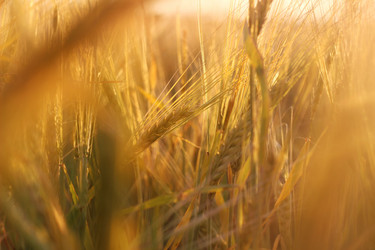 Similar image 20979616