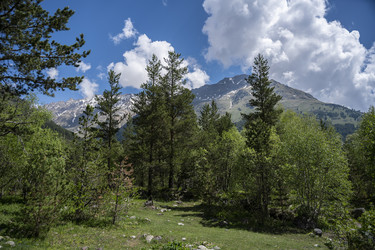 Similar image 20984539