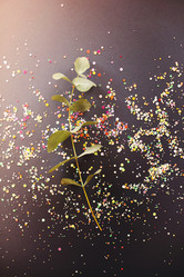 Similar image 20975856