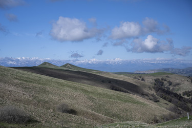 Similar image 20984747